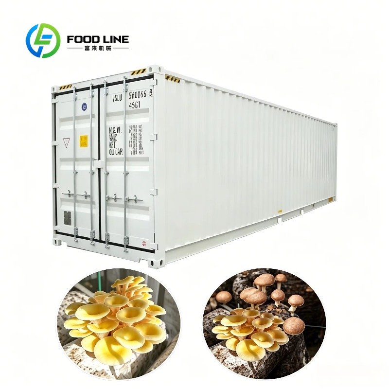 Urban Farming Projects - Hydroponische containerfarm met geautomatiseerd irrigatiesysteem voor