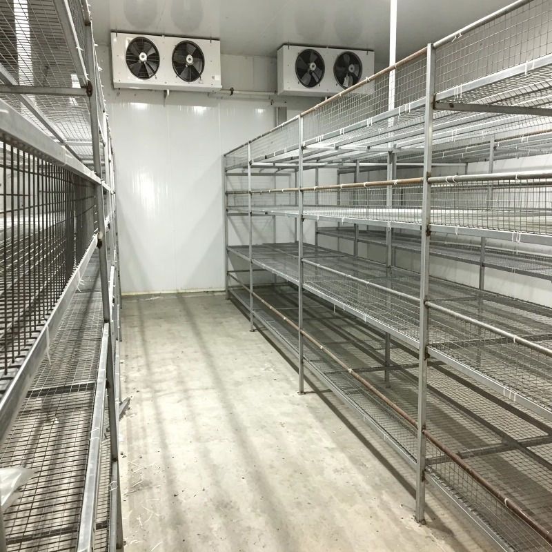 Hydroponische containerfarm me - Urban Farming Projects recensie en prijs