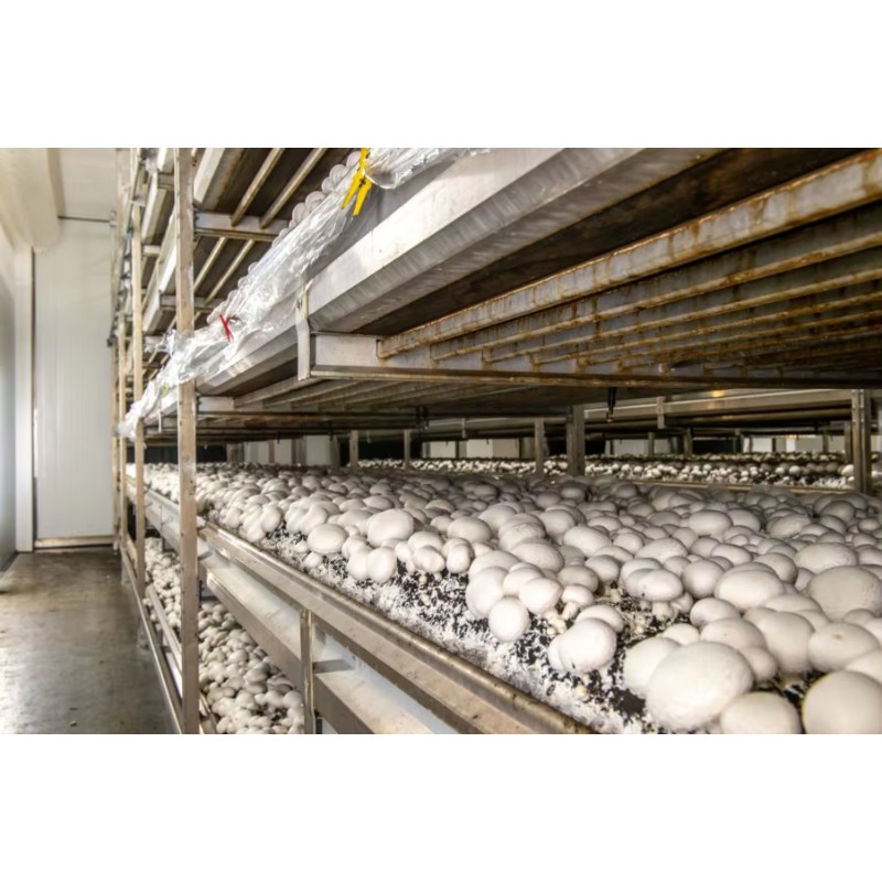 Hydroponische containerfarm me - Urban Farming Projects recensie en prijs